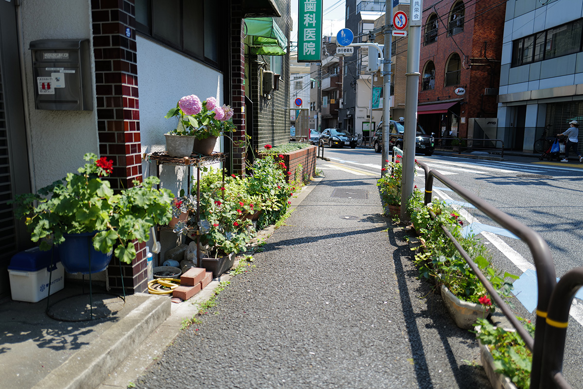 31 tyazawa street